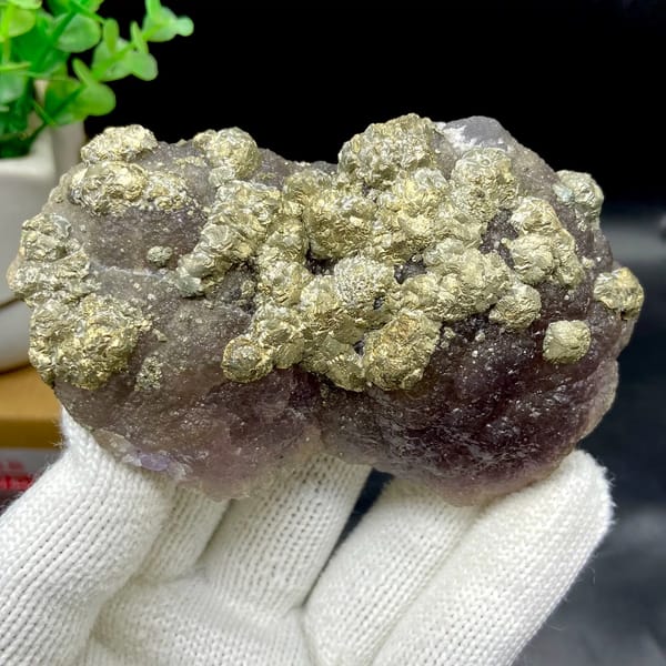 Pale pyrite rosettes over plum-purple fluorite from Jiangxi, China, close-up of the crystal faces