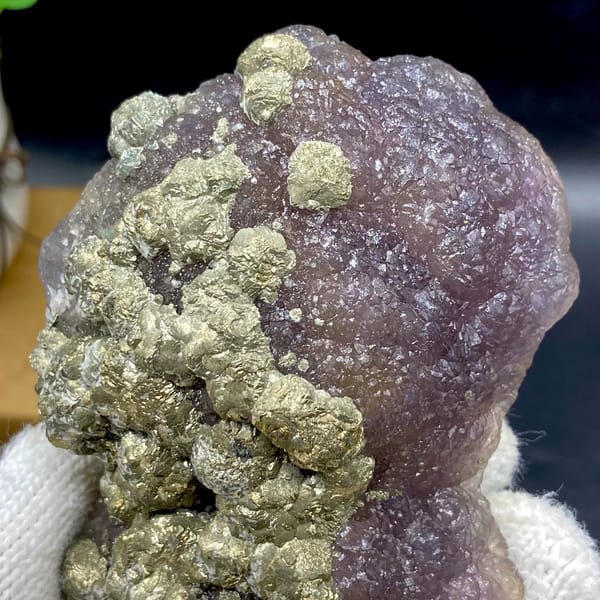 Pale pyrite rosettes over plum-purple fluorite from Jiangxi, China, reverse side