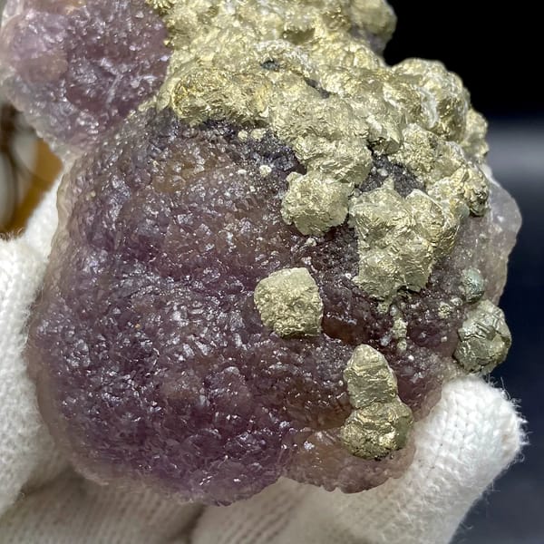Pale pyrite rosettes over plum-purple fluorite from Jiangxi, China, top view
