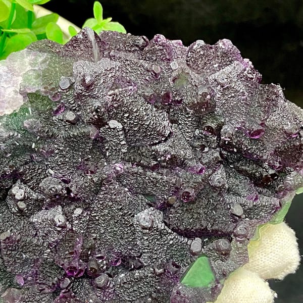 Plate of purple-edged green fluorite octahedra from Zhejiang, China, side view
