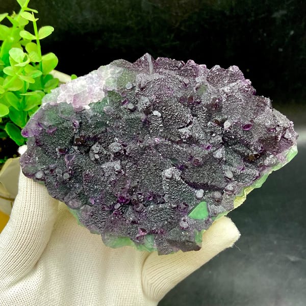 Plate of purple-edged green fluorite octahedra from Zhejiang, China, close-up of terminations
