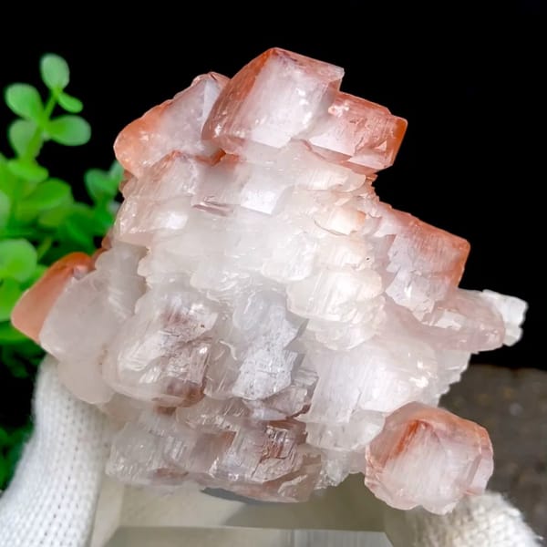 Stacked pagoda calcite with orange-red caps from Hubei, China, held in gloved hand