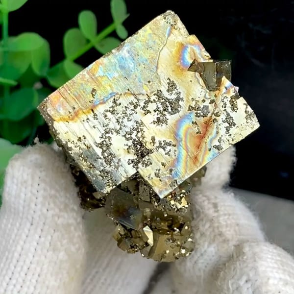 Large iridescent pyrite cube on pyrite base from Shangbao, Hunan, China, held in gloved hand