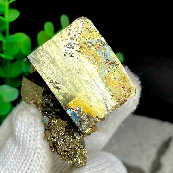 Large iridescent pyrite cube on pyrite base from Shangbao, Hunan, China, reverse side