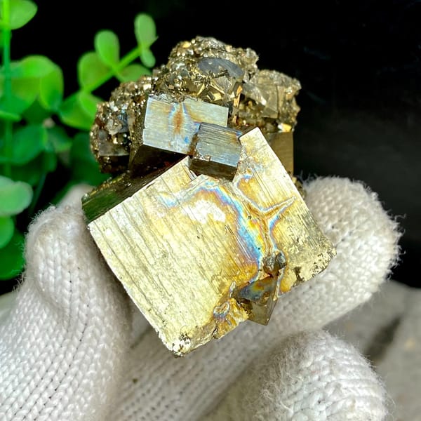 Large iridescent pyrite cube on pyrite base from Shangbao, Hunan, China, side view