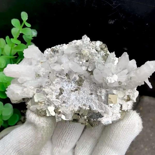 White quartz needles fanning over pyrite-studded base from Shangbao, Hunan, China, held in gloved hand