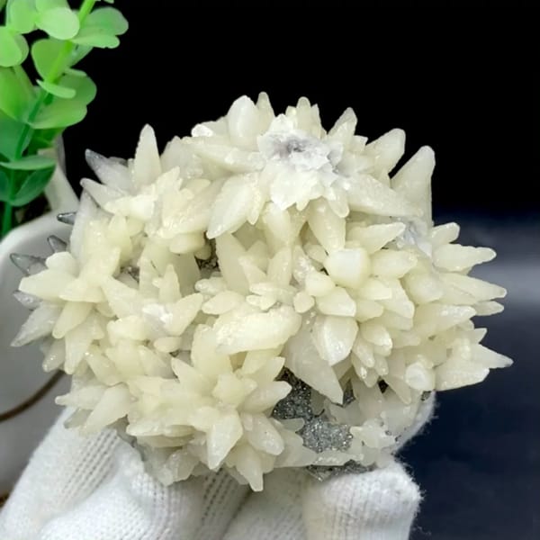 Dome of white flower-form calcite points from Guizhou, China, held in gloved hand