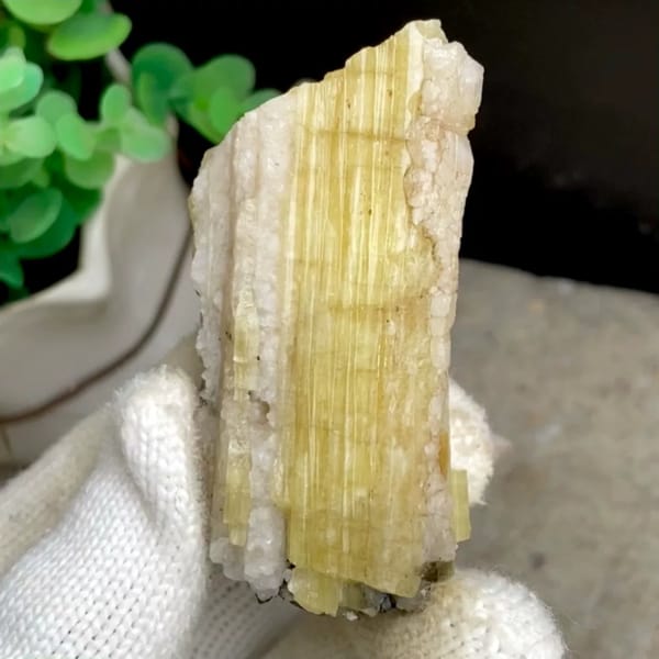 Tall golden topaz column with white matrix from Germany, held in gloved hand