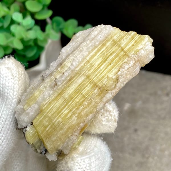 Tall golden topaz column with white matrix from Germany, detail of the matrix contact