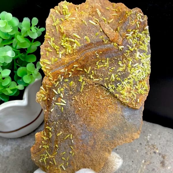 Plate of rusty matrix sprinkled with green pyromorphite needles from Wuzhou, Guangxi, China, held in gloved hand
