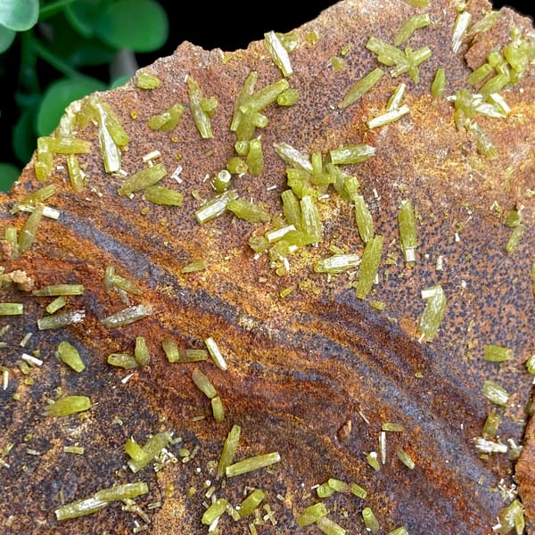 Plate of rusty matrix sprinkled with green pyromorphite needles from Wuzhou, Guangxi, China, second angle