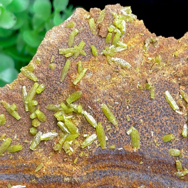 Plate of rusty matrix sprinkled with green pyromorphite needles from Wuzhou, Guangxi, China, top view