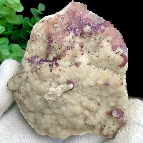 Purple fluorite cubes over white quartz plate from Guizhou, China, held in gloved hand