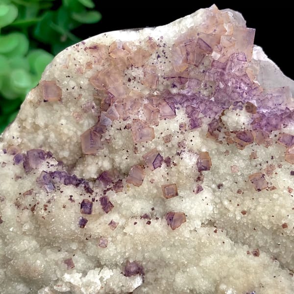 Purple fluorite cubes over white quartz plate from Guizhou, China, second angle