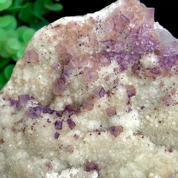 Purple fluorite cubes over white quartz plate from Guizhou, China, top view