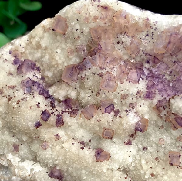Purple fluorite cubes over white quartz plate from Guizhou, China, side view