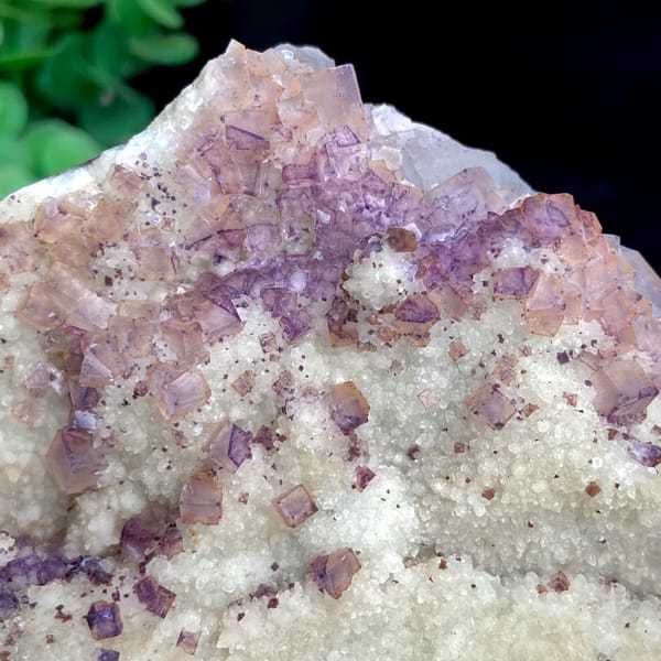 Purple fluorite cubes over white quartz plate from Guizhou, China, overall view