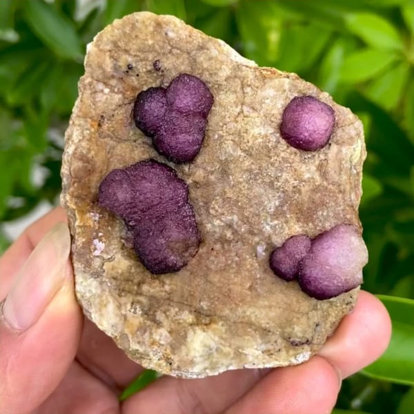Raspberry strawberry fluorite balls on tan plate from Henan, China, held in hand