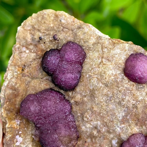 Raspberry strawberry fluorite balls on tan plate from Henan, China, second angle