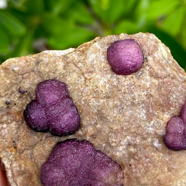 Raspberry strawberry fluorite balls on tan plate from Henan, China, close-up of the crystal faces