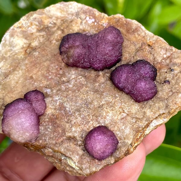 Raspberry strawberry fluorite balls on tan plate from Henan, China, reverse side