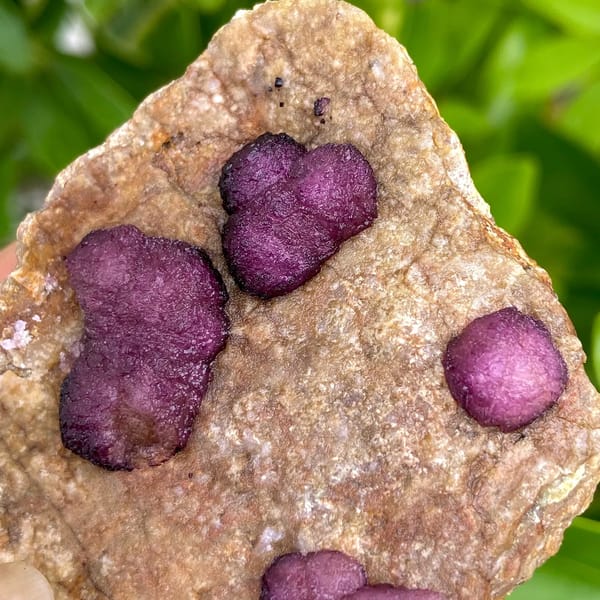 Raspberry strawberry fluorite balls on tan plate from Henan, China, top view