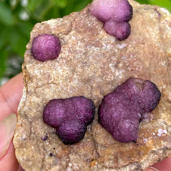 Raspberry strawberry fluorite balls on tan plate from Henan, China, detail of the matrix contact