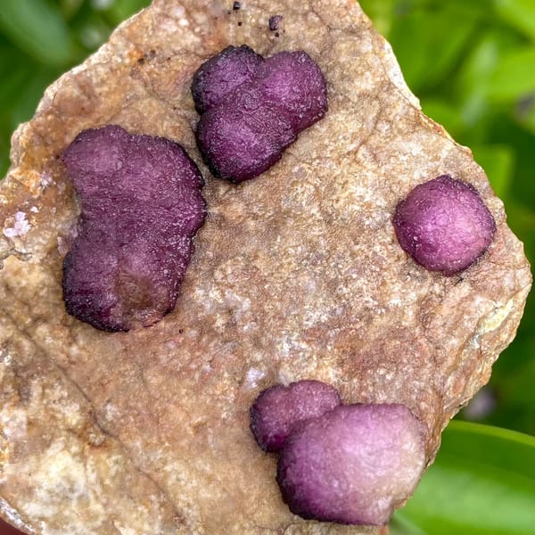Raspberry strawberry fluorite balls on tan plate from Henan, China, side view