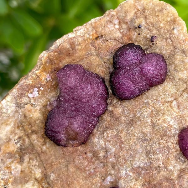 Raspberry strawberry fluorite balls on tan plate from Henan, China, close-up of terminations