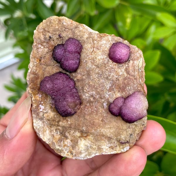 Raspberry strawberry fluorite balls on tan plate from Henan, China, overall view