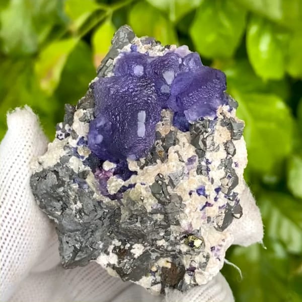 Vivid purple fluorite octahedron on grey arsenopyrite from Inner Mongolia, China, held in gloved hand