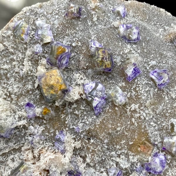 Small purple-edged garden fluorite cubes on grey plate from Hebei, China, detail of the matrix contact