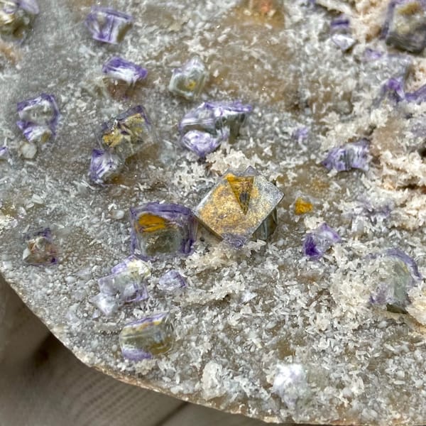 Small purple-edged garden fluorite cubes on grey plate from Hebei, China, side view