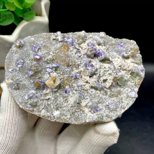 Small purple-edged garden fluorite cubes on grey plate from Hebei, China, close-up of terminations