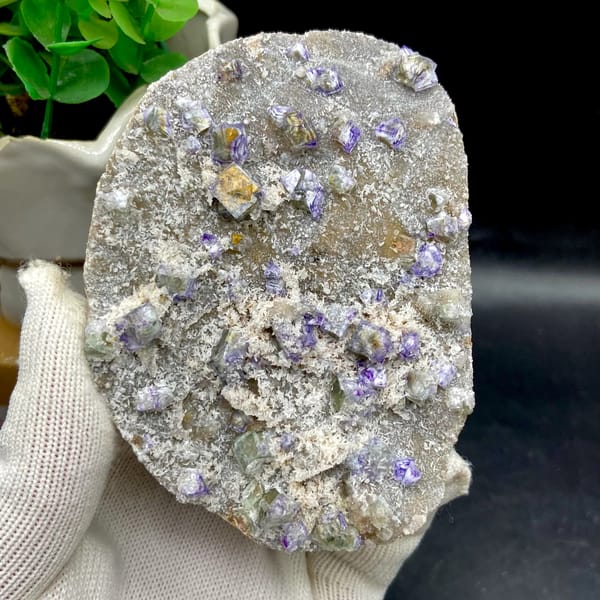 Small purple-edged garden fluorite cubes on grey plate from Hebei, China, overall view