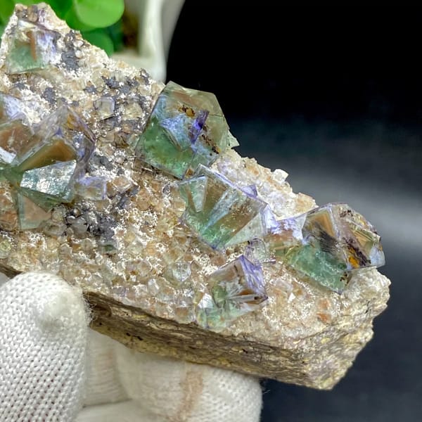 Green fluorite cubes with purple edges on grey matrix from Hebei, China, top view