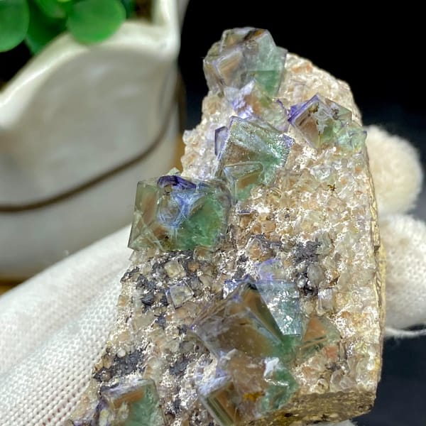 Green fluorite cubes with purple edges on grey matrix from Hebei, China, overall view