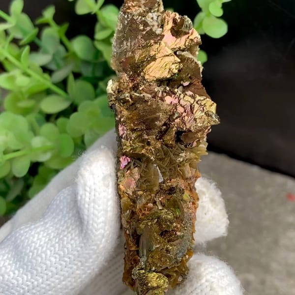Iridescent chalcopyrite blade with siderite from Guizhou, China, held in gloved hand