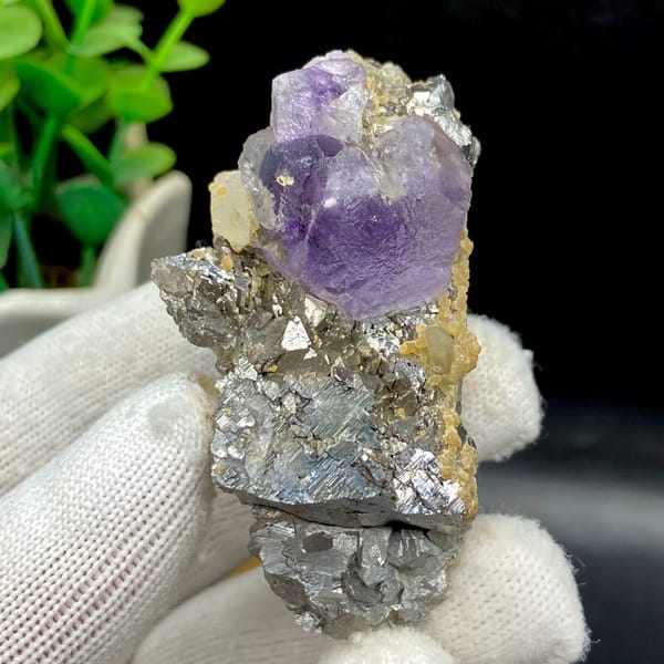 Purple fluorite cube on grey arsenopyrite and quartz from Yaogangxian, Hunan, China, second angle