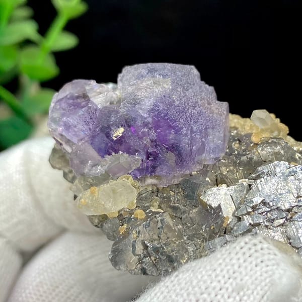 Purple fluorite cube on grey arsenopyrite and quartz from Yaogangxian, Hunan, China, reverse side