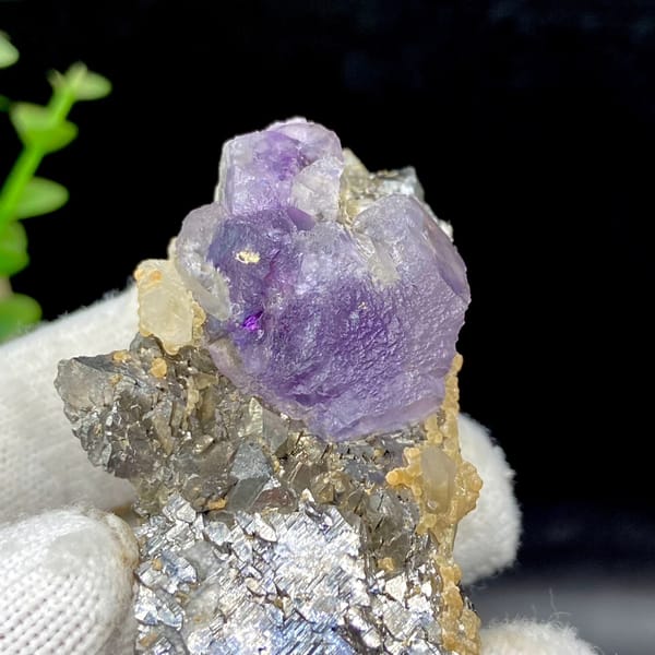 Purple fluorite cube on grey arsenopyrite and quartz from Yaogangxian, Hunan, China, top view