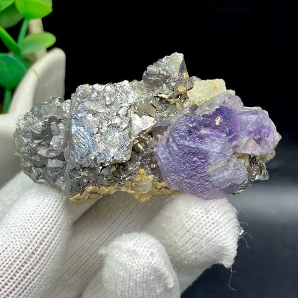 Purple fluorite cube on grey arsenopyrite and quartz from Yaogangxian, Hunan, China, detail of the matrix contact