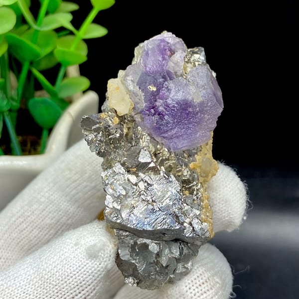 Purple fluorite cube on grey arsenopyrite and quartz from Yaogangxian, Hunan, China, side view