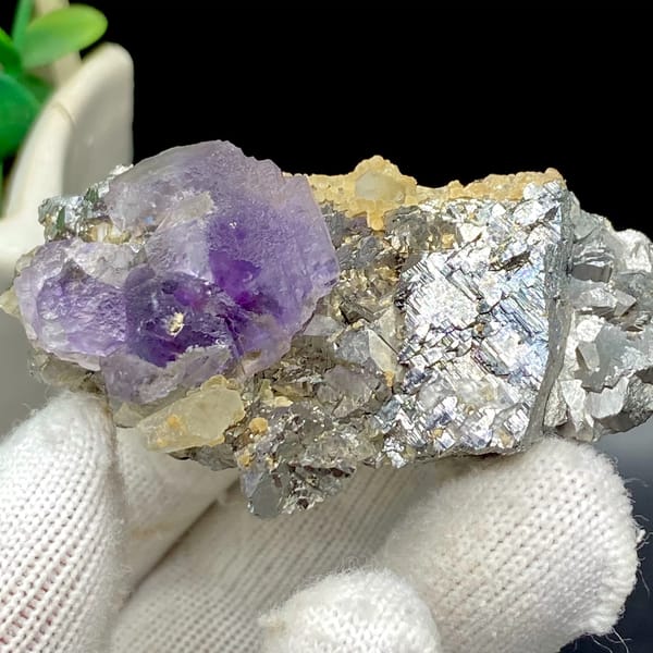 Purple fluorite cube on grey arsenopyrite and quartz from Yaogangxian, Hunan, China, overall view