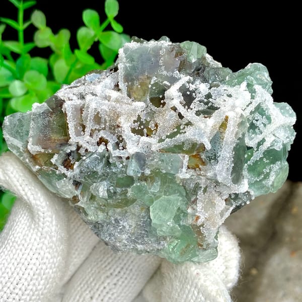 Green sugar fluorite cubes with frosted white druse from Fujian, China, second angle