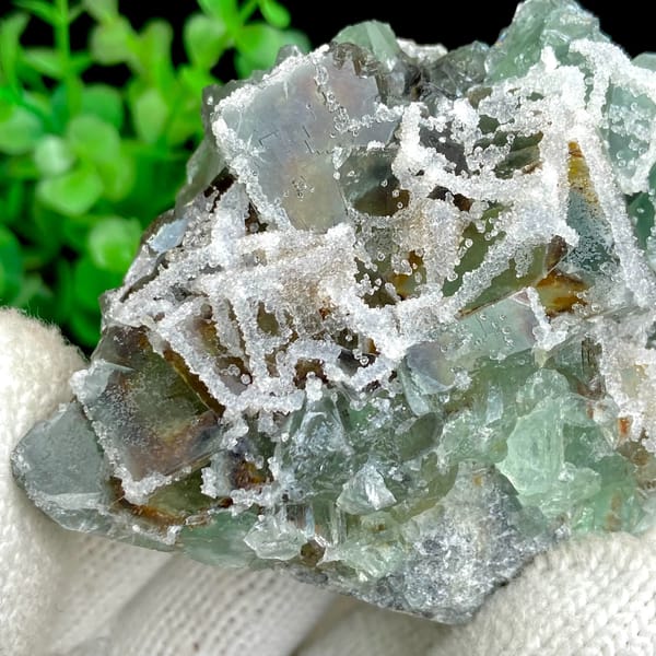 Green sugar fluorite cubes with frosted white druse from Fujian, China, close-up of the crystal faces