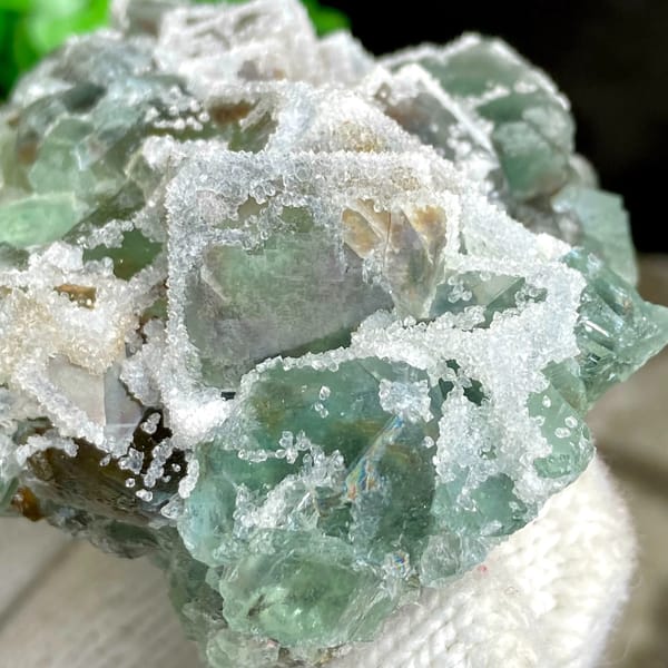 Green sugar fluorite cubes with frosted white druse from Fujian, China, reverse side