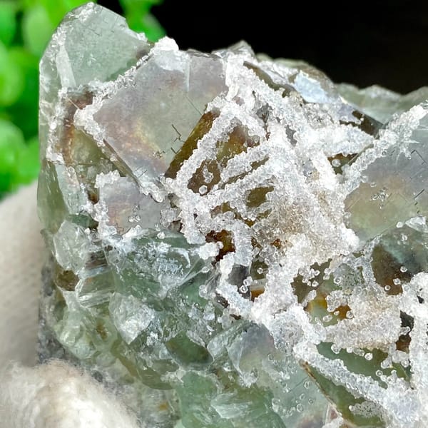 Green sugar fluorite cubes with frosted white druse from Fujian, China, side view