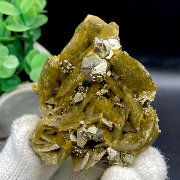 Olive siderite blades studded with bright pyrite dodecahedra from Guizhou, China, second angle