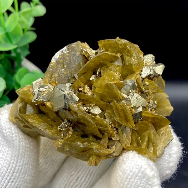 Olive siderite blades studded with bright pyrite dodecahedra from Guizhou, China, reverse side
